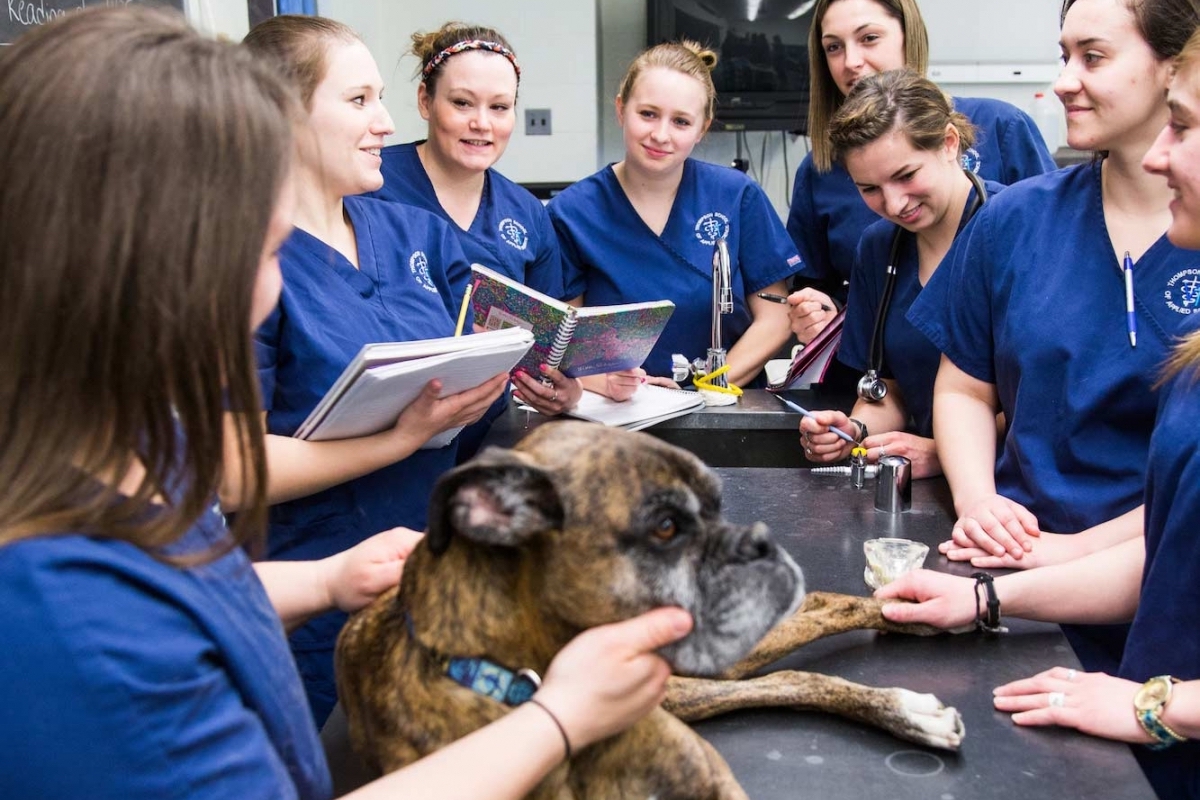 Pre-veterinary students with dog