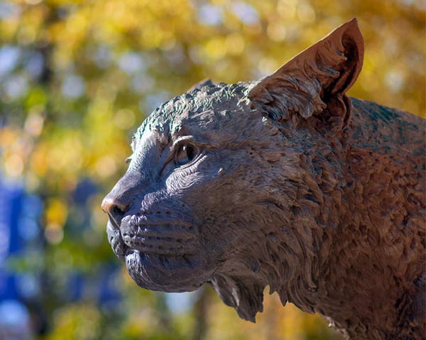 Wildcat sculpture