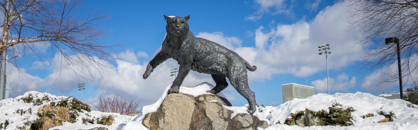 Wildcat statue and snow