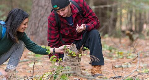 Students examining a tree stump