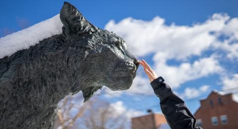unh wildcat statue in the winter