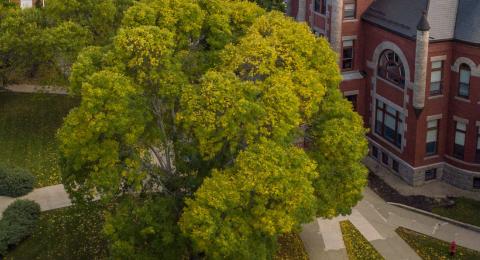 Discover UNH