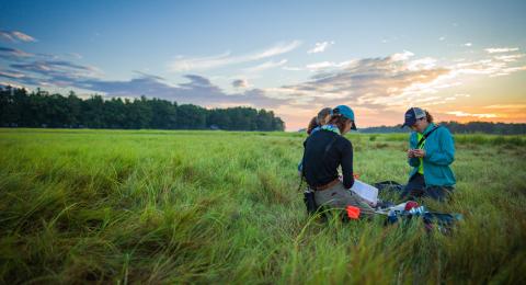 UNH students and faculty researching in salt marsh