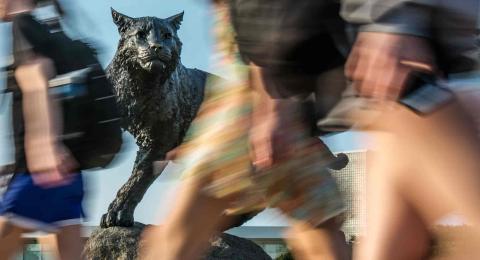 Wildcat statue and students walking