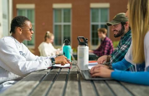 UNH students studying outdoors