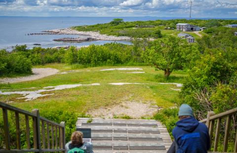 Appledore Island