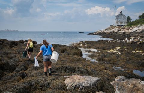 UNH student conducting research on Appledore Island
