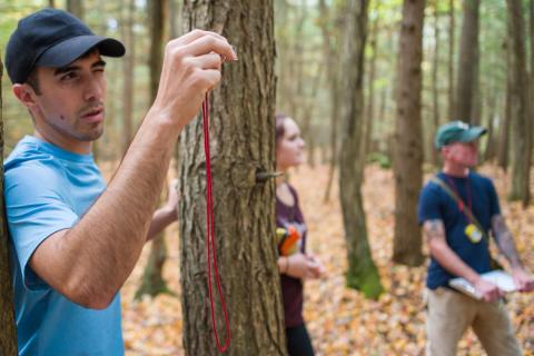 Student studying tree