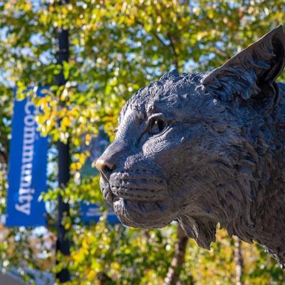 Wildcat Statue