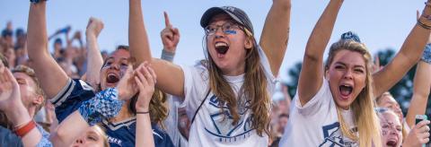 wildcat fans cheering