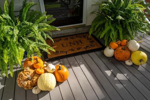 UNH president's front porch at Thanksgiving