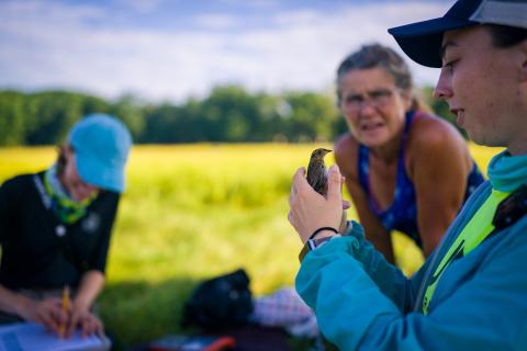 UNH student holding a bird during research in the field