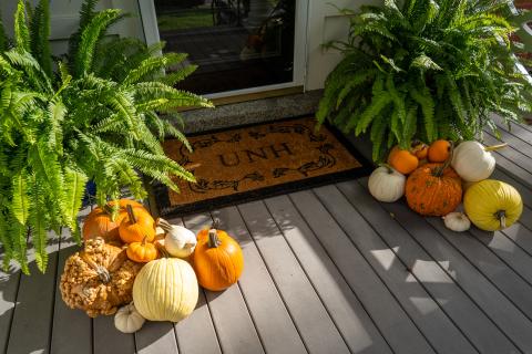 pumpkins on doorstep