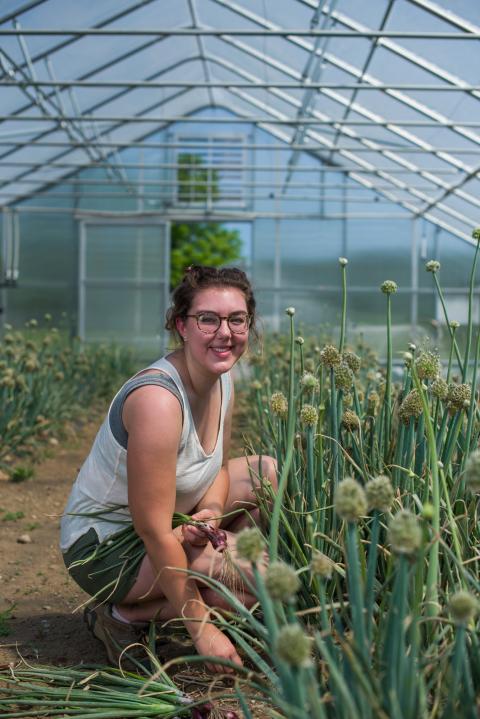 UNH student in greenhouse
