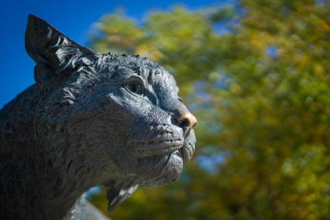 UNH wildcat statue