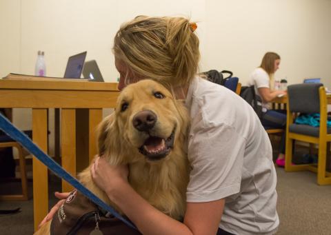 UNH student with therapy dog