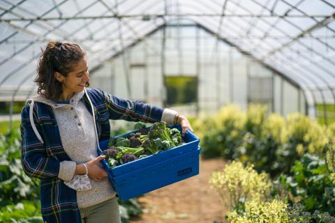 UNH student in greenhouses