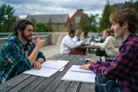 UNH students studying outside