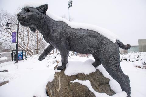 Wildcat statue