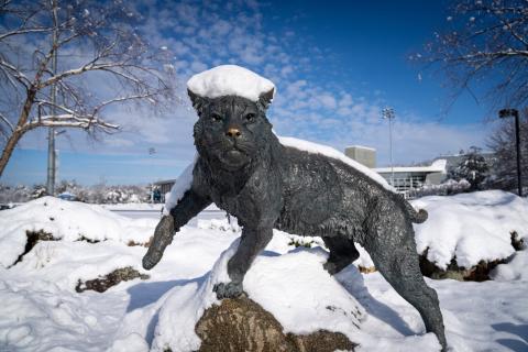 UNH Wildcat statue