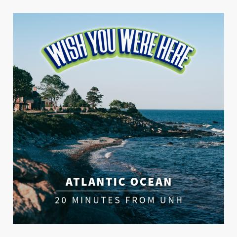 wish you were here atlantic ocean 20 minutes from UNH