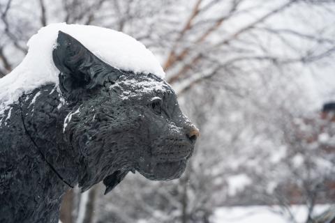 UNH Wildcat Statue