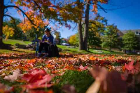 UNH foliage