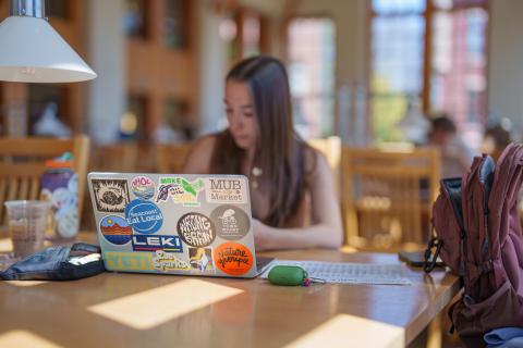 UNH student studying in Dimond Library 