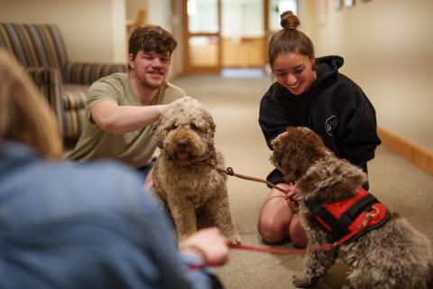UNH students hanging out with therapy dogs 