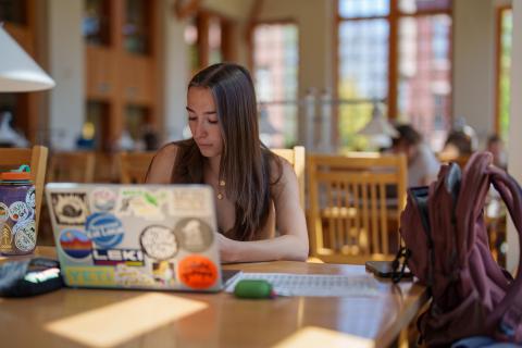 UNH student studying in Dimond Library