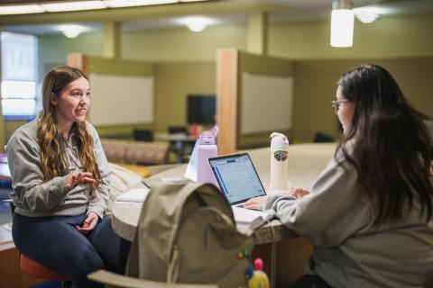 UNH COLA students studying