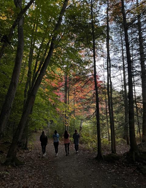 UNH students walking in college woods