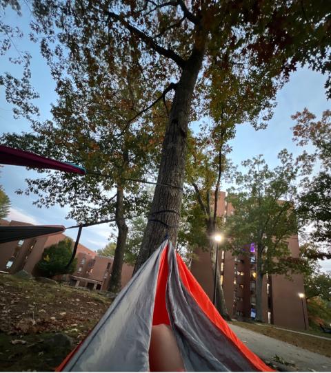 UNH student in hammock