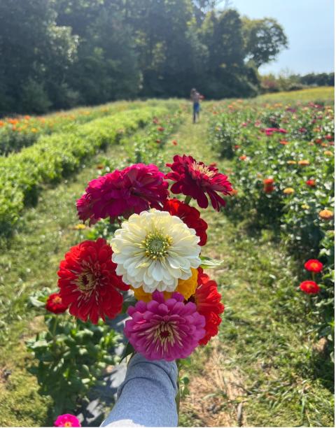 bouquet of flowers