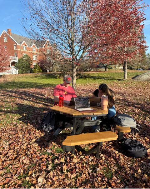 UNH students studying outside