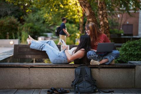 UNH students studying outside on campus