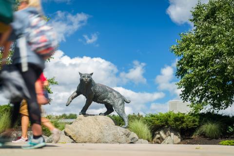 Wildcat statue on the UNH Durham campus