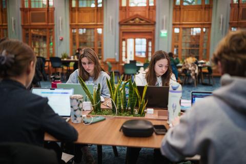 UNH students studying in the Hamel Honors and Scholars College