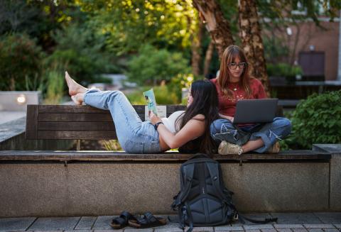 UNH students studying outdoors on campus