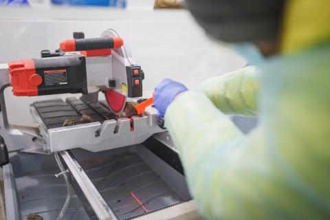 Research on permafrost microbial communities