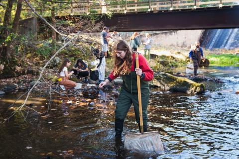 College of Life Sciences and Agriculture students doing field work in the Oyster River