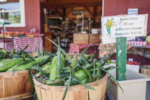 Farmstand 