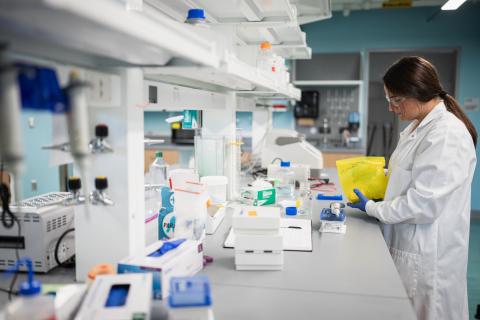 Conducting research in the lab