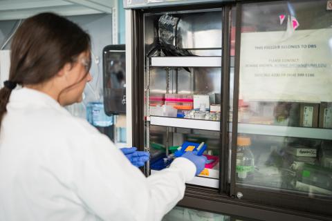 Conducting research in the lab