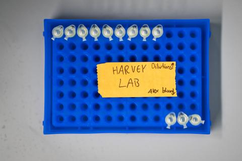 Research equipment for my summer undergraduate research 