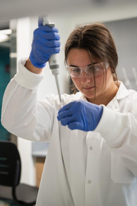 Conducting research in the lab