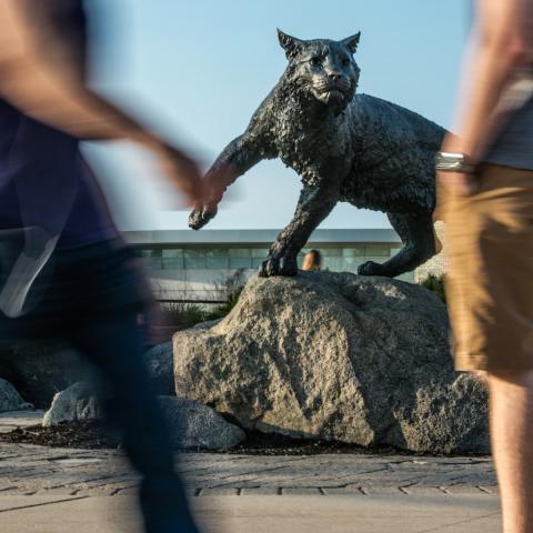 UNH Wildcat statue