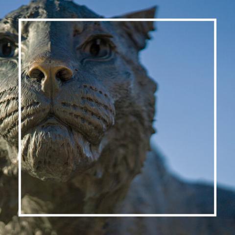 wildcat statue