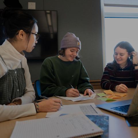 Students studying
